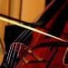 La Orquesta Filarmónica de Málaga convoca una bolsa de empleo