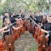 Instrumentos de cuerda con fines solidarios