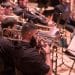 La Diputació de València obri la convocatòria per al seu XLII Certamen de Bandes
