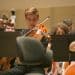 En marxa el II Cicle de concerts Bankia d’Orquestres de la Comunitat Valenciana