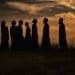 El Festival Música, Historia y Arte celebrará el ciclo ‘Músiques Religioses del Món’ en L’Almodí