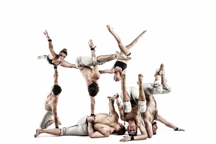 Torna a Alacant el Festival FRESCA!