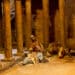 Cultura Festiva programa més de 300 activitats per al Nadal de València