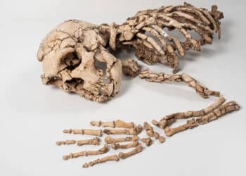 Música per a descobrir els neandertals del museu de Prehistòria